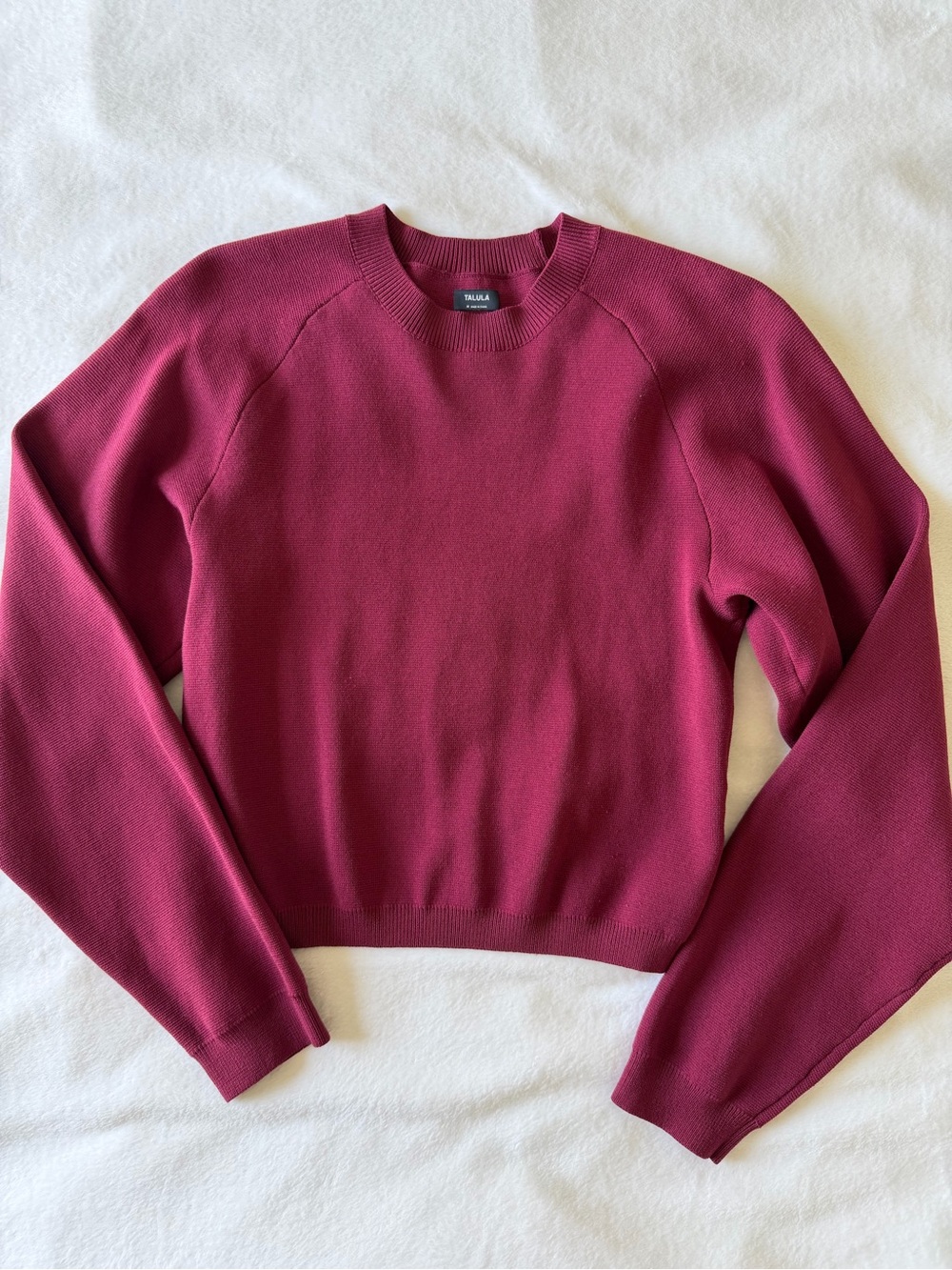 Talula Aritzia Plum Crewneck Pullover